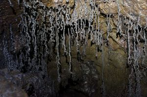 Rando spéléo au sommet de la fournaise (23)
